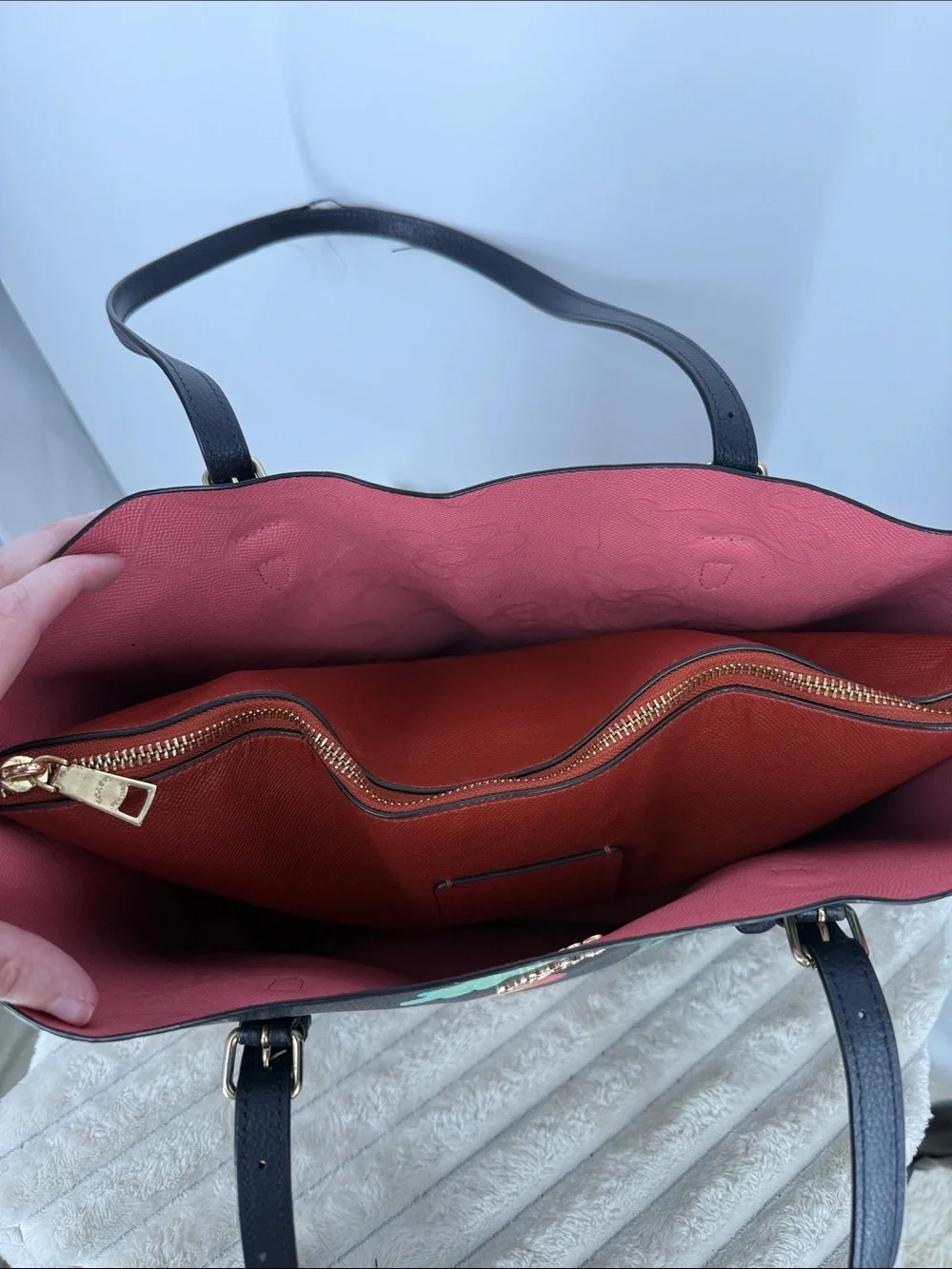 Coach Mollie Tote “Dreamy Land” Print